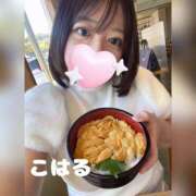 ヒメ日記 2025/09/27 12:04 投稿 こはる 横浜ハッピーマットパラダイス