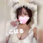 ヒメ日記 2025/10/04 07:33 投稿 こはる 横浜ハッピーマットパラダイス