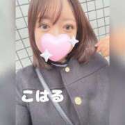 ヒメ日記 2025/10/20 07:43 投稿 こはる 横浜ハッピーマットパラダイス