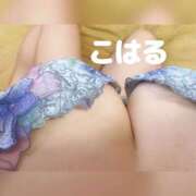 ヒメ日記 2025/11/16 11:53 投稿 こはる 横浜ハッピーマットパラダイス