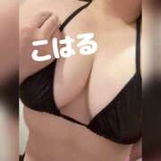 ヒメ日記 2025/11/28 07:53 投稿 こはる 横浜ハッピーマットパラダイス