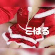 ヒメ日記 2025/11/29 10:43 投稿 こはる 横浜ハッピーマットパラダイス