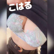 ヒメ日記 2025/12/07 12:33 投稿 こはる 横浜ハッピーマットパラダイス