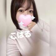 ヒメ日記 2025/12/29 08:03 投稿 こはる 横浜ハッピーマットパラダイス