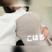 ヒメ日記 2026/01/28 10:53 投稿 こはる 横浜ハッピーマットパラダイス