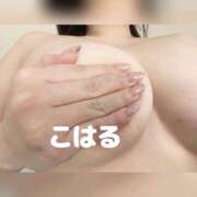 ヒメ日記 2026/02/02 15:43 投稿 こはる 横浜ハッピーマットパラダイス