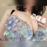 ヒメ日記 2026/02/06 07:53 投稿 こはる 横浜ハッピーマットパラダイス