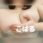 ヒメ日記 2026/02/07 07:43 投稿 こはる 横浜ハッピーマットパラダイス