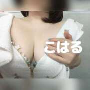 ヒメ日記 2026/04/03 08:53 投稿 こはる 横浜ハッピーマットパラダイス