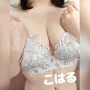 ヒメ日記 2026/09/22 08:03 投稿 こはる 横浜ハッピーマットパラダイス