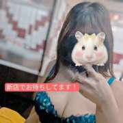 ヒメ日記 2025/04/09 08:58 投稿 りく 恋愛マット同好会