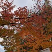 ヒメ日記 2025/10/28 08:41 投稿 りく 恋愛マット同好会