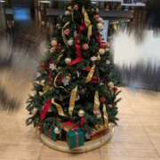 ヒメ日記 2025/11/16 08:18 投稿 りく 恋愛マット同好会