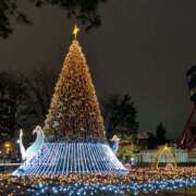 ヒメ日記 2025/12/03 16:48 投稿 りく 恋愛マット同好会