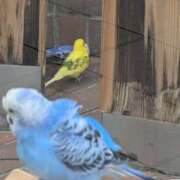 ヒメ日記 2026/03/21 16:28 投稿 りく 恋愛マット同好会