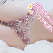 ヒメ日記 2026/03/14 23:41 投稿 ぺこ ギャルズネットワーク神戸