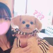 ヒメ日記 2025/05/12 20:53 投稿 らら ヒルズスパ　梅田＋