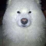 ヒメ日記 2024/12/12 18:01 投稿 えな まつど 素人だけのデリヘル。