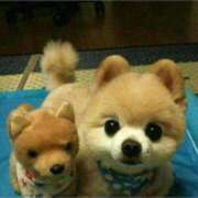 ヒメ日記 2024/12/17 17:12 投稿 えな まつど 素人だけのデリヘル。