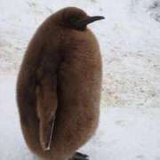 ヒメ日記 2025/01/07 15:21 投稿 えな まつど 素人だけのデリヘル。