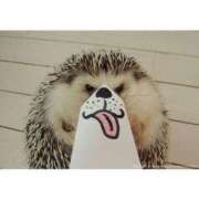 ヒメ日記 2025/02/07 17:09 投稿 えな まつど 素人だけのデリヘル。