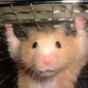 ヒメ日記 2025/06/29 00:09 投稿 えな まつど 素人だけのデリヘル。