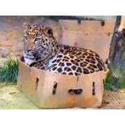 ヒメ日記 2025/11/17 16:56 投稿 えな まつど 素人だけのデリヘル。