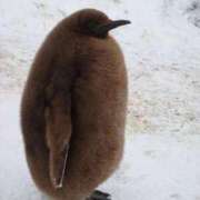 ヒメ日記 2025/11/29 18:56 投稿 えな まつど 素人だけのデリヘル。