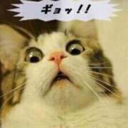 ヒメ日記 2025/01/16 11:15 投稿 ゆき まつど 素人だけのデリヘル。