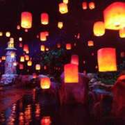 ヒメ日記 2025/01/12 12:03 投稿 真由 モアグループ所沢人妻城