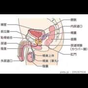 ヒメ日記 2026/01/29 06:58 投稿 ゆか 恋愛マット同好会
