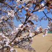 ヒメ日記 2025/04/02 11:49 投稿 かおる 熟女の風俗最終章 仙台店