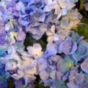 ヒメ日記 2025/06/11 21:20 投稿 かおる 熟女の風俗最終章 仙台店