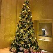 ヒメ日記 2025/12/24 22:22 投稿 せいこ 梅田アバンチュール