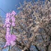 ヒメ日記 2025/04/06 16:06 投稿 さや 北九州人妻倶楽部（三十路、四十路、五十路）