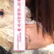 ヒメ日記 2025/07/10 10:57 投稿 さや 北九州人妻倶楽部（三十路、四十路、五十路）