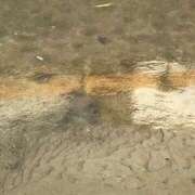 ヒメ日記 2025/11/10 14:11 投稿 さや 北九州人妻倶楽部（三十路、四十路、五十路）