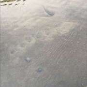 ヒメ日記 2025/11/13 08:36 投稿 さや 北九州人妻倶楽部（三十路、四十路、五十路）