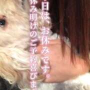 ヒメ日記 2025/11/14 10:49 投稿 さや 北九州人妻倶楽部（三十路、四十路、五十路）