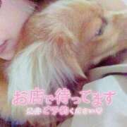 ヒメ日記 2026/01/03 15:12 投稿 さや 北九州人妻倶楽部（三十路、四十路、五十路）