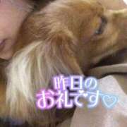 ヒメ日記 2026/02/11 14:28 投稿 さや 北九州人妻倶楽部（三十路、四十路、五十路）