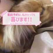 ヒメ日記 2026/07/06 07:25 投稿 さや 北九州人妻倶楽部（三十路、四十路、五十路）