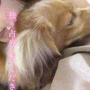ヒメ日記 2026/08/01 14:30 投稿 さや 北九州人妻倶楽部（三十路、四十路、五十路）