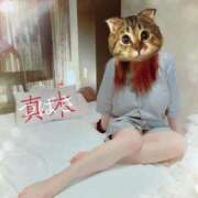 ヒメ日記 2025/08/16 15:25 投稿 真木 BBW五反田店