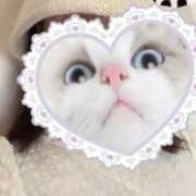 ヒメ日記 2025/06/10 13:24 投稿 ののか 学園collection