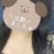 ヒメ日記 2025/07/09 16:24 投稿 ののか 学園collection