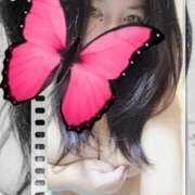 あんり こんにちは 即アポマダム～名古屋店～