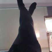 ヒメ日記 2025/10/04 07:03 投稿 朱李(しゅり) 人妻出逢い会 百合の園 池袋店