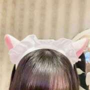 ヒメ日記 2024/12/21 16:11 投稿 ここみ 秋葉原コスプレ学園(AKG)