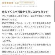 ヒメ日記 2025/06/11 01:01 投稿 ここみ 秋葉原コスプレ学園(AKG)